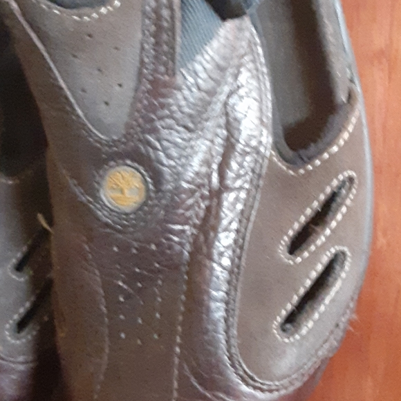 Scandals - Picture 15 of 16